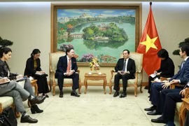 越南政府副总理陈流光会见美国驻越南大使纳珀
