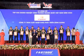 2023年越南增长最快企业500强榜单出炉