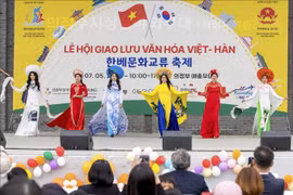 在韩国传播越南传统文化 