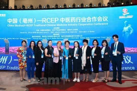 越南出席中国—RCEP中医药行业合作会议 