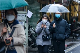 越南北部和北中部早晚寒冷