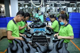 致力于减排的外国FDI项目正争相进入平阳省