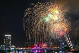 提升2023年岘港国际烟花节的地位