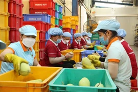 加强越南隆安省与中国云南省的经贸往来