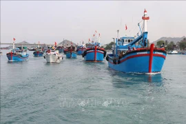 解除IUU“黄牌”警告：集中做好渔船管理和产地溯源工作