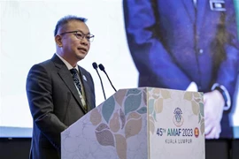 东盟国家积极寻求稳定大米市场的解决方案