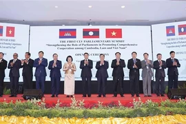 越南国会主席王廷惠出席第一届柬老越三国国会高层会议开幕式并发表讲话