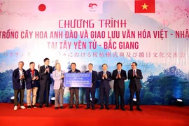 文化交流是维系越日两国友谊的桥梁