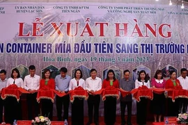 越南和平省向美国出口第一批新鲜甘蔗