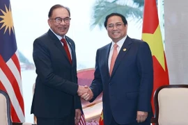 第42届东盟峰会：越南政府总理范明政会见马来西亚总理安瓦尔·易卜拉欣