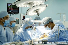 胡志明市领导在越南医师节前夕看望慰问优秀典型医师