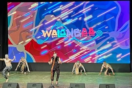 越澳建交50周年：“走到一起”音乐晚会在胡志明市举行