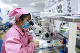 国家统一48周年：越南在外资招商工作中发生大变化