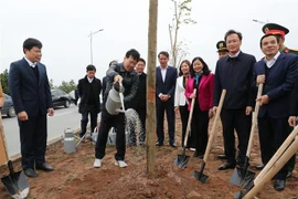 越共中央书记处常务书记武文赏出席兴安省植树节启动仪式