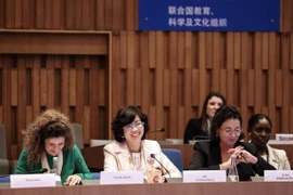 越南携手推动性别平等领域的国际合作