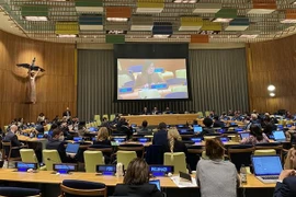 越南支持联合国安理会扩员 确保地区代表性平衡