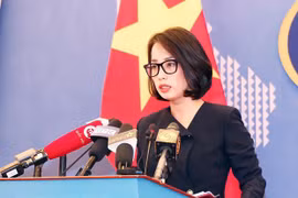 越南强烈谴责针对平民的暴力袭击