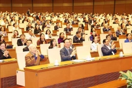 第十五届国会第六次会议：讨论选民意见建议解决情况的监督结果