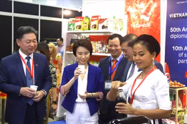 将越南农产品推向国际市场 