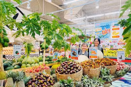 越南多管齐下拓宽农产品销路