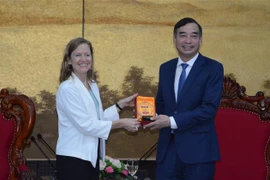 岘港与美国国际开发计划署加强在各领域的合作