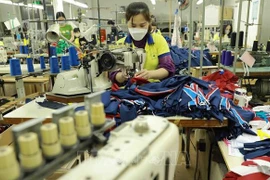 越南纺织服装企业积极调动资源实现行业复苏