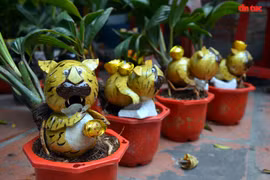 壬寅春节虎形椰子树盆栽走俏市场