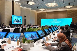 越南呼吁APEC加强交流并协助推广开放国际旅游市场的政策