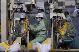 阿尔及利亚有意推动与越南的经贸合作关系发展