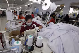 胡志明市企业数量与 2016 年相比增长26%