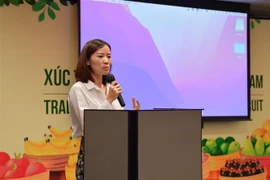 经济外交：让更多越南水果走进泰国市场