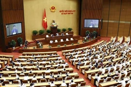 越南第十五届国会第三次会议：对农业与农村发展领域进行质询