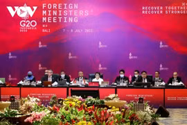 20国集团外长会：推动东盟与欧盟合作