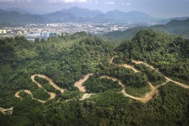 第31届东南亚运动会：对和平省自行车赛项举办工作的准备情况进行检查
