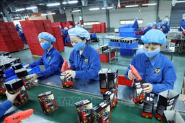 2022年上半年金瓯省新成立企业大幅增长