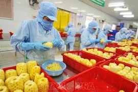 越南力争到2030年成为全球10大水产品加工中心