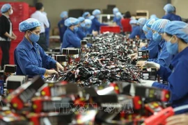 促进提高劳动生产率以实现越南的可持续增长