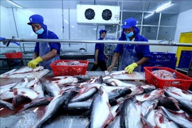 疏通水产品出口市场堵点