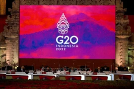 G20峰会：印尼部署人脸识别系统