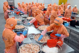 越南经济亮点：出口量质齐增