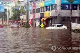 越南领导就暴雨灾害向韩国领导致慰问电