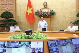 政府与各地方召开视频会议