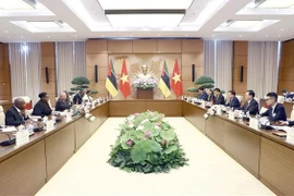 越南国会主席王廷惠与莫桑比克议会议长举行会谈
