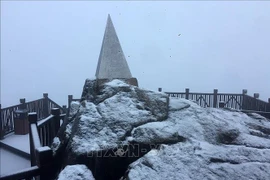 越南番西邦峰出现降雪天气 景色宛如仙境