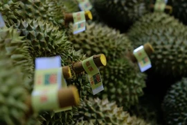 林同省向中国出口首批逾70吨榴莲