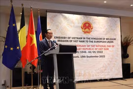 越南驻比大使：越南与欧盟和比利时的关系正处于历史最好时期