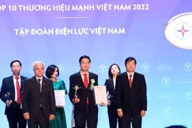 2022年越南强势品牌榜单出炉