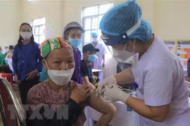 5月23日越南新增确诊病例1179例 新增死亡1例