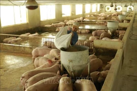 2022年越南肉类及肉制品进口需求难以大幅增加