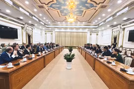 胡志明市与德国莱比锡市推进合作关系